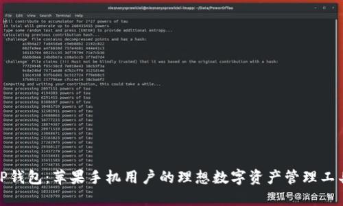 TP钱包：苹果手机用户的理想数字资产管理工具
