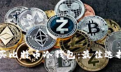 如何安全购买比特币冷钱包：最佳选择与推荐指南