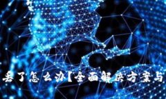 TP钱包币丢了怎么办？全面