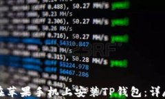 如何在苹果手机上安装T