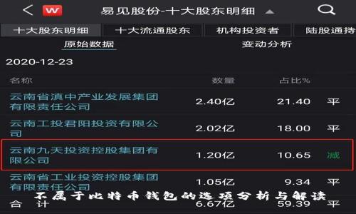 不属于比特币钱包的选项分析与解读