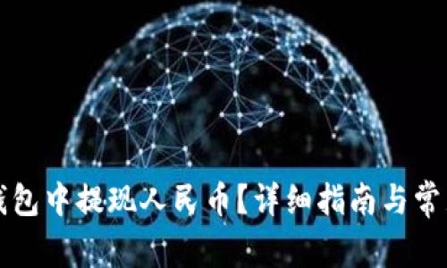如何在TP钱包中提现人民币？详细指南与常见问题解答
