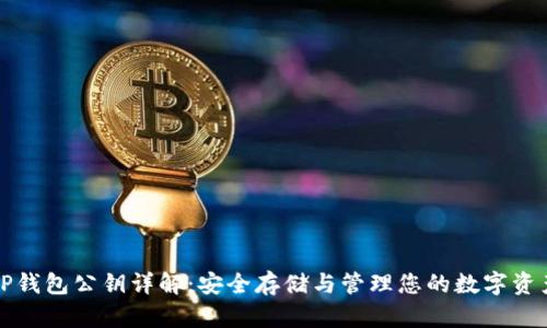 TP钱包公钥详解：安全存储与管理您的数字资产