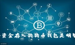 为什么将资金存入狗狗币