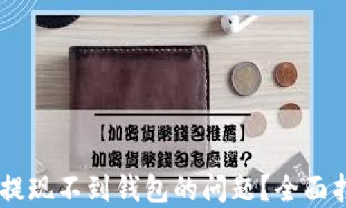 如何解决USDT提现不到钱包的问题?全面指南与解决方案