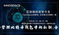 如何安全管理比特币钱包