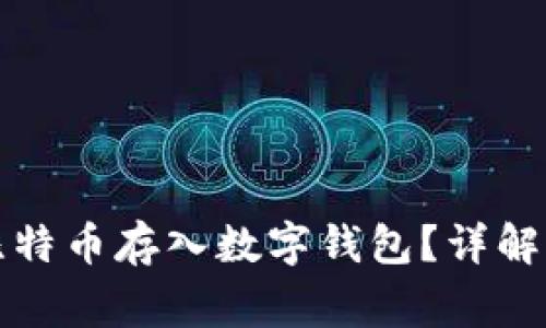 如何安全地将比特币存入数字钱包？详解步骤与注意事项