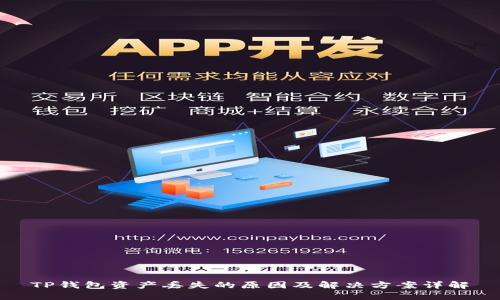 TP钱包资产丢失的原因及解决方案详解