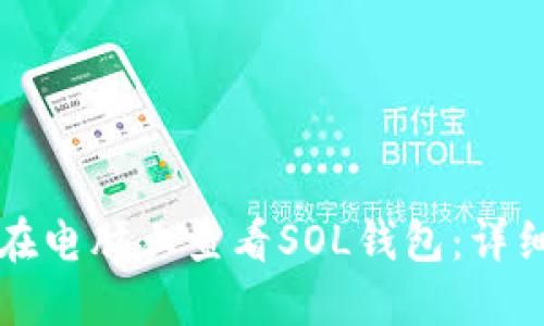 如何在电脑上查看SOL钱包：详细指南
