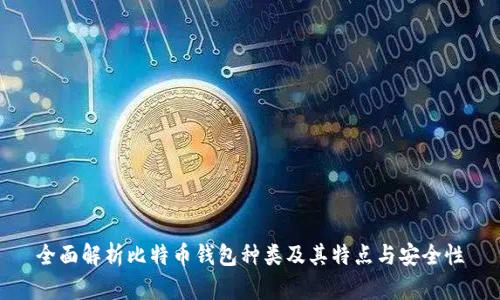 全面解析比特币钱包种类及其特点与安全性