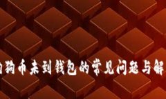 解决狗狗币未到钱包的常