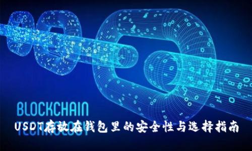USDT存放在钱包里的安全性与选择指南