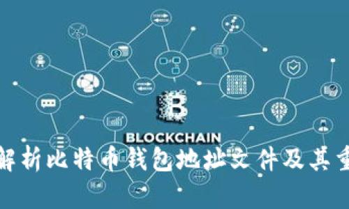 全面解析比特币钱包地址文件及其重要性