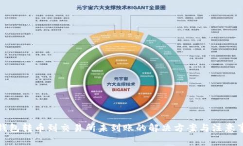 TP钱包转币到交易所未到账的解决方案与注意事项