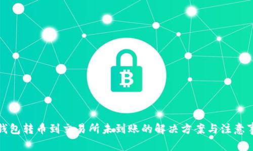 TP钱包转币到交易所未到账的解决方案与注意事项