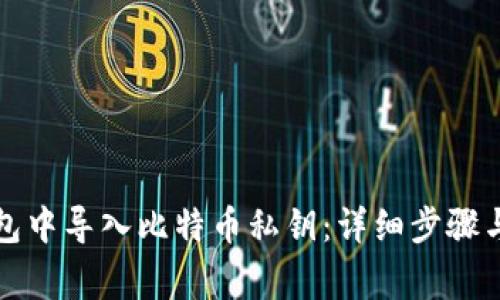如何在钱包中导入比特币私钥：详细步骤与注意事项