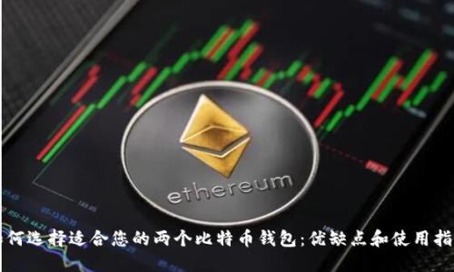 如何选择适合您的两个比特币钱包：优缺点和使用指南