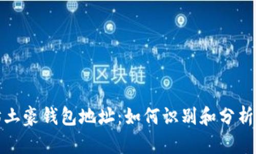 揭秘以太坊土豪钱包地址：如何识别和分析高价值钱包