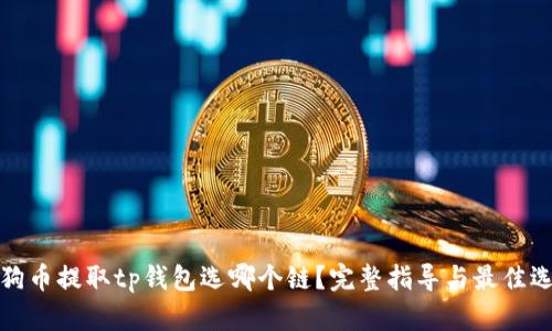 狗狗币提取tp钱包选哪个链？完整指导与最佳选择