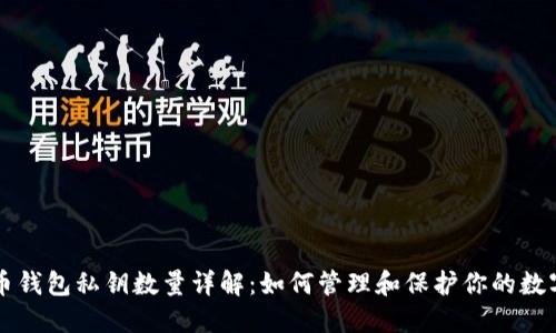 比特币钱包私钥数量详解：如何管理和保护你的数字资产