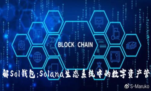 深入了解Sol钱包：Solana生态系统中的数字资产管理工具