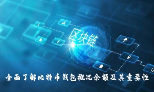 全面了解比特币钱包概况余额及其重要性