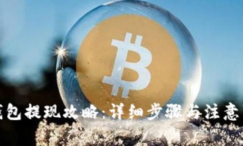 TP钱包提现攻略：详细步骤与注意事项