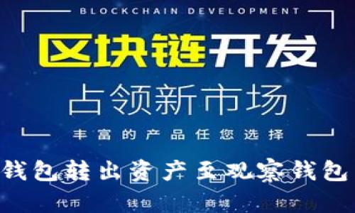 如何从TP钱包转出资产至观察钱包：完整指南
