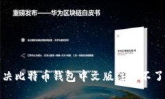如何解决比特币钱包中文
