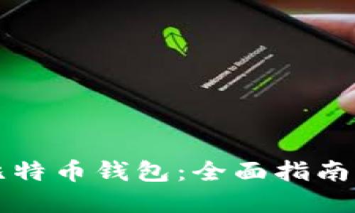 如何备份比特币钱包：全面指南与最佳实践