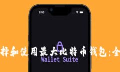 如何选择和使用最大比特