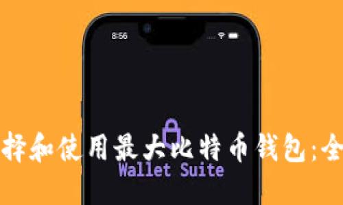 如何选择和使用最大比特币钱包：全面指南