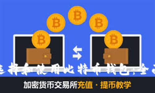 如何选择和使用比特币钱包：全面指南