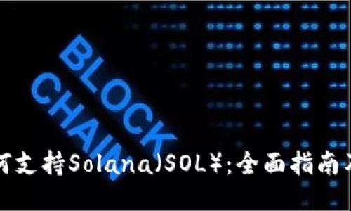 TP钱包如何支持Solana（SOL）：全面指南及使用技巧