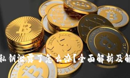 TP钱包私钥泄露了怎么办？全面解析及解决方案