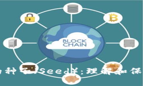 比特币钱包中的种子（Seed）：理解和保护你的数字资产