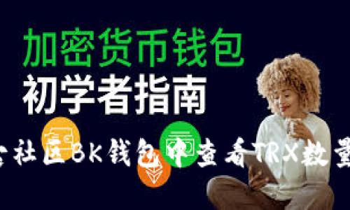 如何在盘古社区BK钱包中查看TRX数量？详细指南