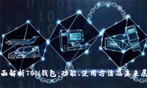 全面解析TON钱包：功能、使用方法及未来展望