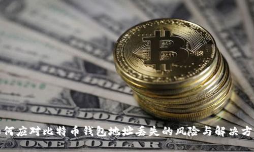 如何应对比特币钱包地址丢失的风险与解决方案