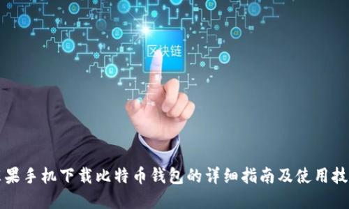 苹果手机下载比特币钱包的详细指南及使用技巧