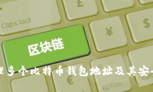 如何管理多个比特币钱包地址及其安全性分析