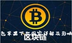 TP钱包苹果下架国家详解及