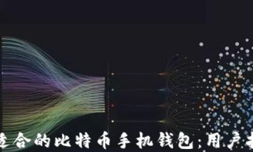 
如何选择适合的比特币手机钱包：用户指南与推荐