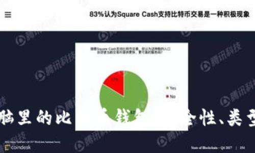 深入了解电脑里的比特币钱包：安全性、类型及使用指南