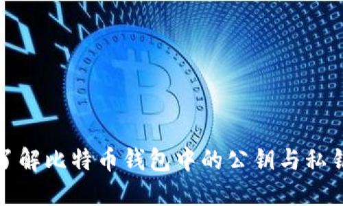 深入了解比特币钱包中的公钥与私钥概念