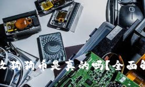 小狐狸钱包接收狗狗币是真的吗？全面解析与使用指南