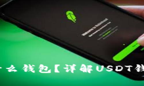 USDT可以存放在什么钱包？详解USDT钱包选择和使用指南