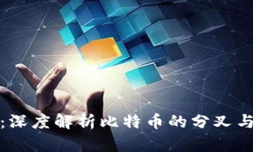 比特币钱包：深度解析比特币的分叉与钱包的选择