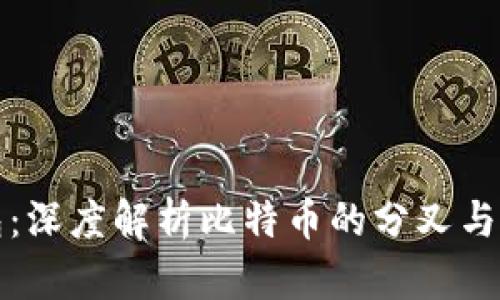 比特币钱包：深度解析比特币的分叉与钱包的选择