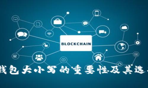 USDT钱包大小写的重要性及其选择指南
